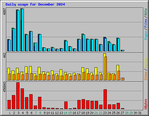 Daily usage for December 2024