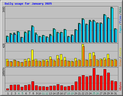 Daily usage for January 2025