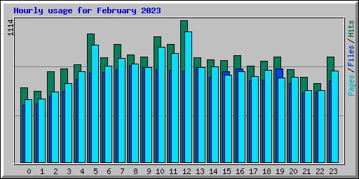 Hourly usage for February 2023