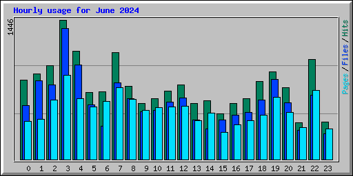 Hourly usage for June 2024