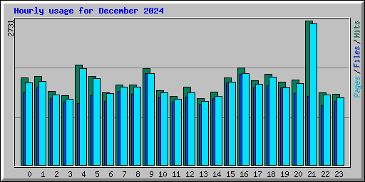 Hourly usage for December 2024