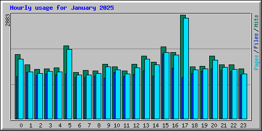 Hourly usage for January 2025