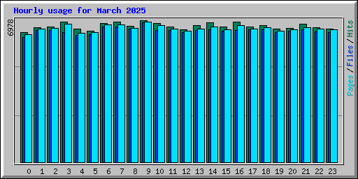 Hourly usage for March 2025