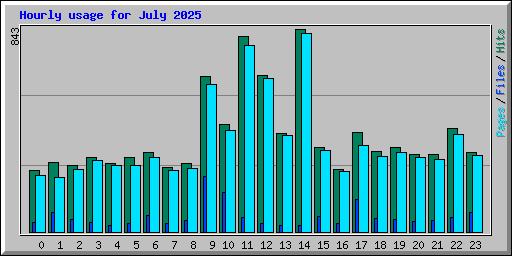 Hourly usage for July 2025