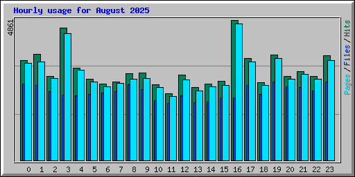 Hourly usage for August 2025