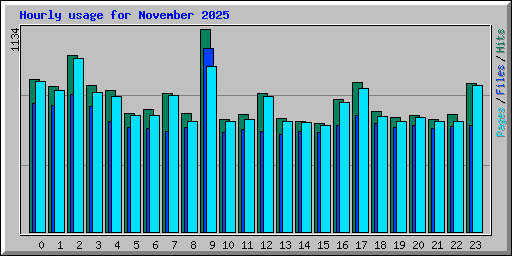 Hourly usage for November 2025