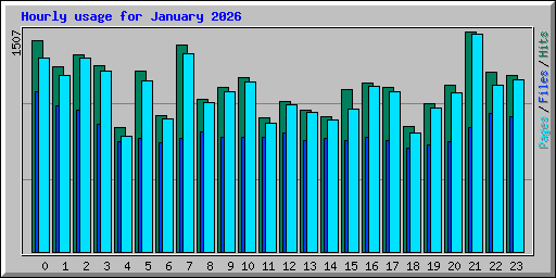 Hourly usage for January 2026