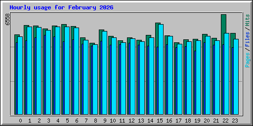 Hourly usage for February 2026