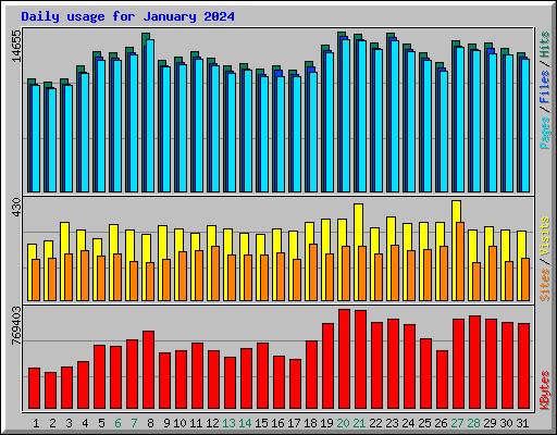 Daily usage for January 2024