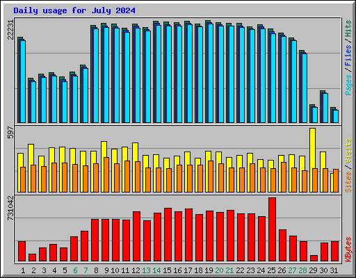 Daily usage for July 2024