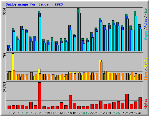 Daily usage for January 2025