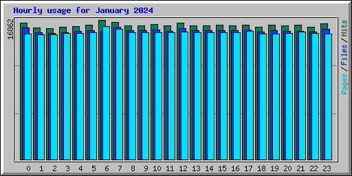 Hourly usage for January 2024