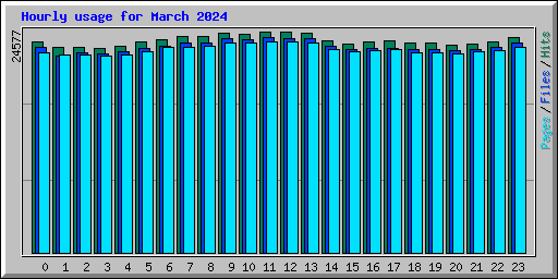 Hourly usage for March 2024