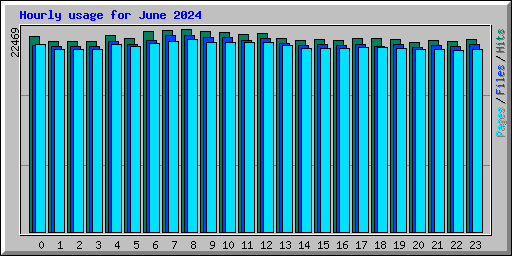 Hourly usage for June 2024