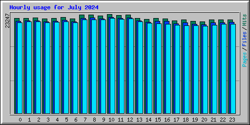 Hourly usage for July 2024