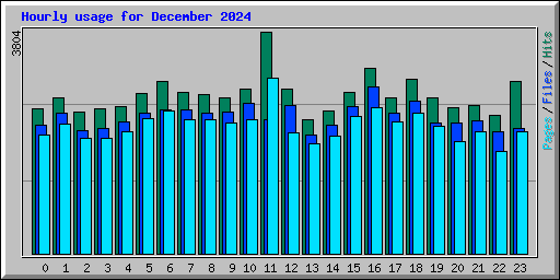 Hourly usage for December 2024