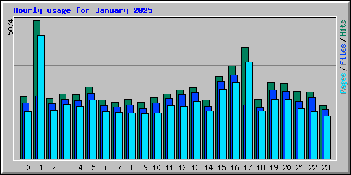 Hourly usage for January 2025