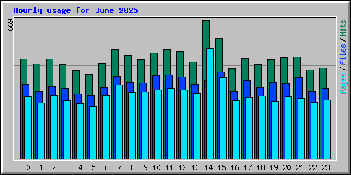 Hourly usage for June 2025