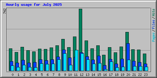 Hourly usage for July 2025