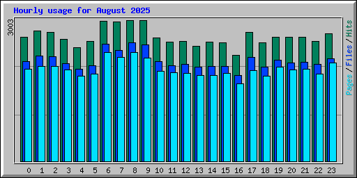 Hourly usage for August 2025