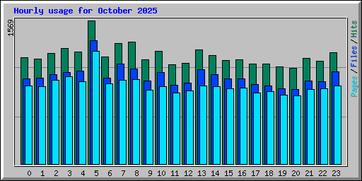 Hourly usage for October 2025