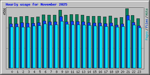 Hourly usage for November 2025