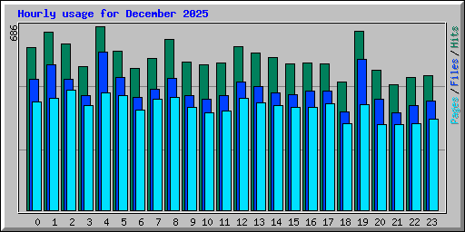 Hourly usage for December 2025